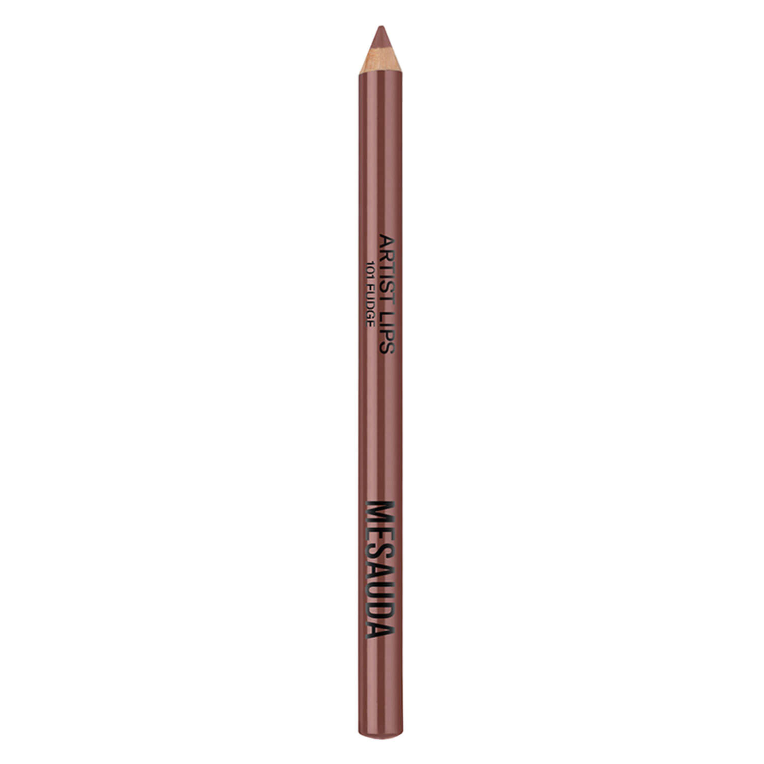 Artist Lips 101 Fudge